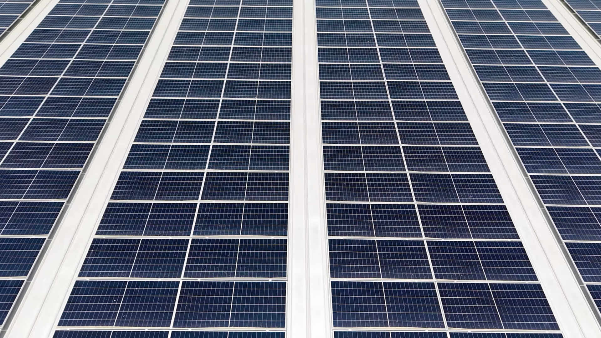 Solar Power Generation System for PVC Shrink Film Factory